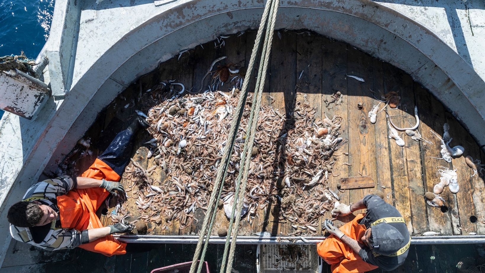 Tra Pesci E Plastica Il Racconto Di Una Notte A Bordo Di Un Peschereccio